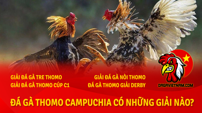 Đá gà Thomo Campuchia có những giải nào?