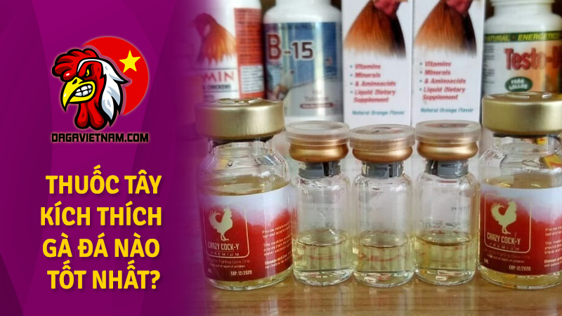 Thuốc tây kích thích cho gà đá hiếu chiến hơn