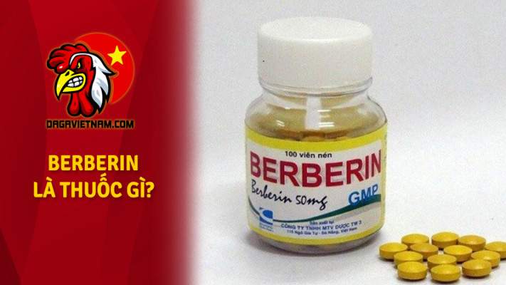Thuốc Berberin là gì?